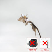 Handfeed Bird/Feather Pet Toys